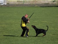 20170520172909 IMG 4124