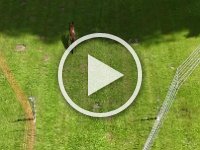 dji fly 20250614 113630 0017 1749894710957 video